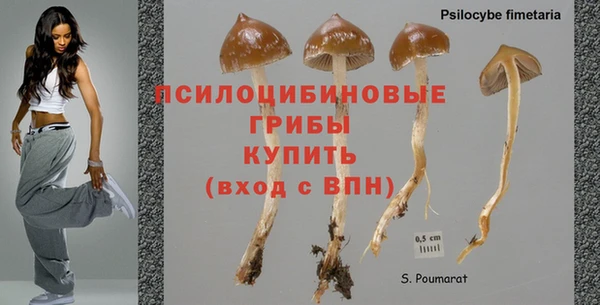 mix Аркадак